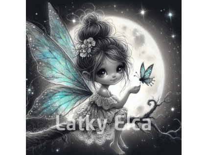 víla černobílá 4