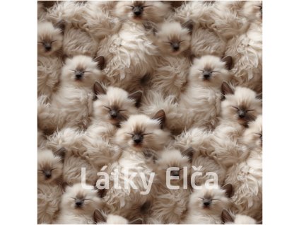 Snímek obrazovky 2025 03 19 180021