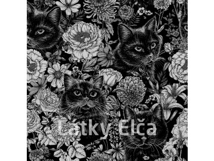 shutterstock 2422508103