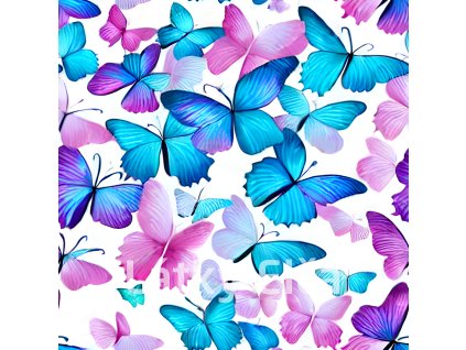 2NVH48hlZsO7ro1fQoaDA7TyxHZ2NVH4Cjrgyiq92zqPuLhQcwCOYJ2NVH5Qu8LYJbkOSbIrQEqLHw20v