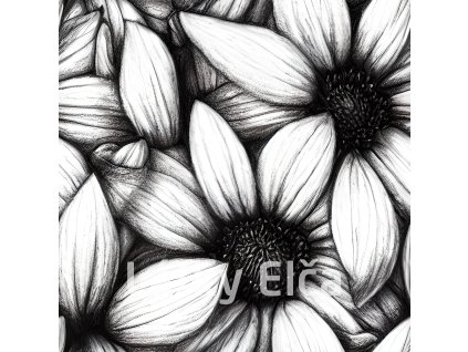květ černo bílý