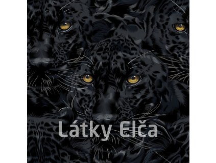 2hVogOX48i1fn5eAd9XyG15Z0ve large