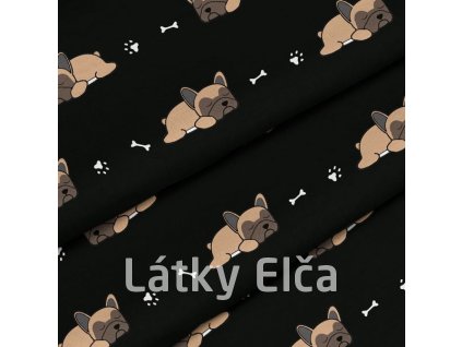 Male francuskie buldogi i kosci czarny