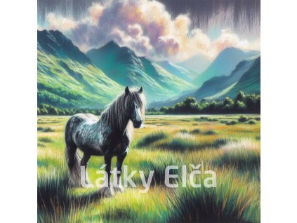 kůň 12