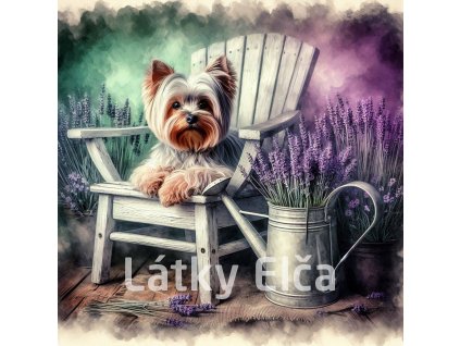 yorkshire s levandulí 3