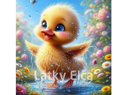 kuřátko ve vodě 2