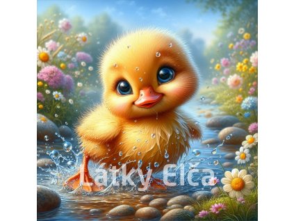 kuřátko ve vodě 3