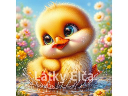 kuřátko ve vodě 6