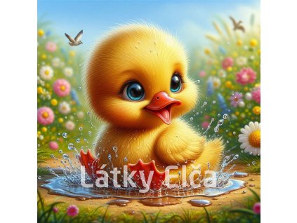 kuřátko ve vodě 8