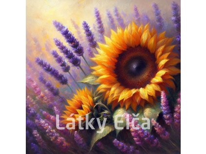 slunečnice s levandulí 3