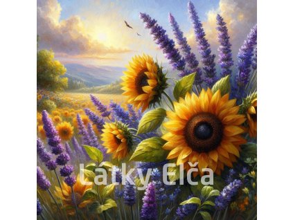 slunečnice s levandulí 4