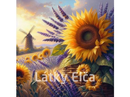 slunečnice s levandulí 6