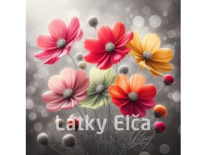 květy barevné 8