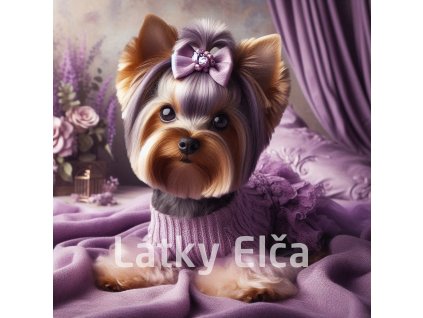 yorkshire ve svetru 1