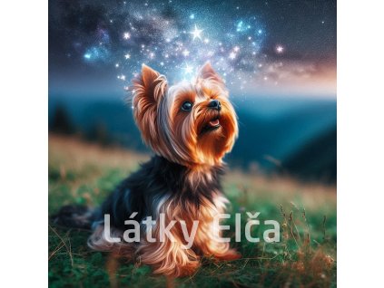 yorkshire a galaxie 1