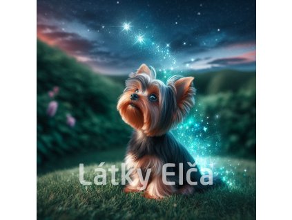 yorkshire a galaxie 2