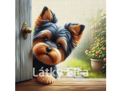 yorkshire u dveří 1