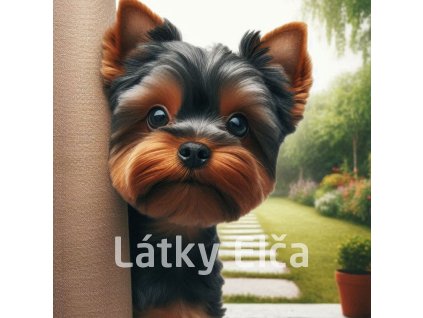 yorkshire u dveří 3