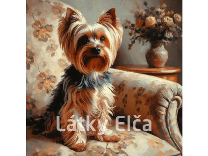 yorkshire na křesle 1