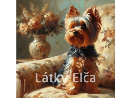 yorkshire na křesle 2