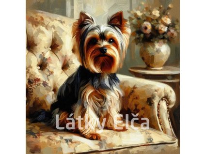 yorkshire na křesle 3