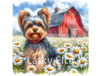 yorkshire a kopretiny 2