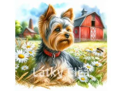 yorkshire a kopretiny 4