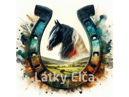 kůň s podkovou 1