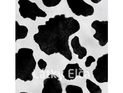 516446423 24793156193618294 5732436292459803978 n