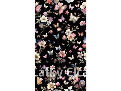 509172167 24669020219365226 6151287027618249052 n