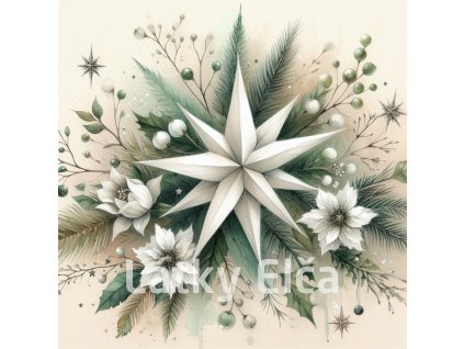 vánoční betlémská hvězda 1