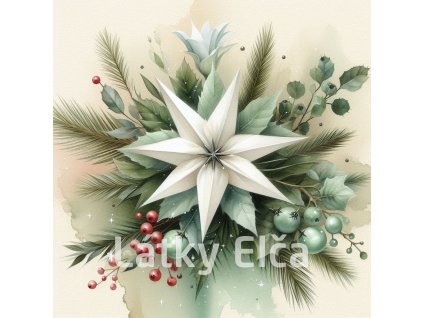 vánoční betlémská hvězda 2