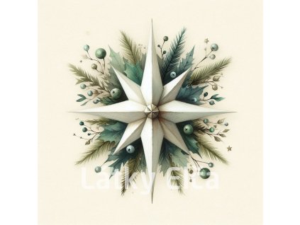 vánoční betlémská hvězda 3