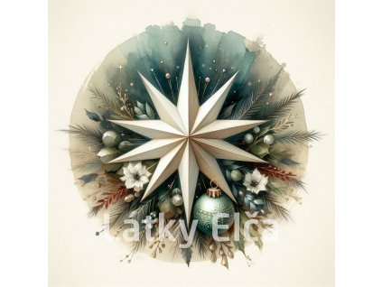 vánoční betlémská hvězda 5