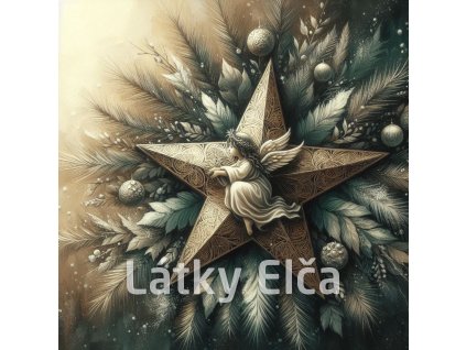 vánoční betlémská hvězda 8