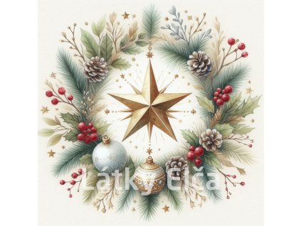 vánoční betlémská hvězda 11