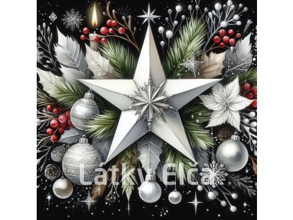 vánoční betlémská hvězda 14