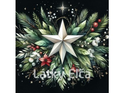 vánoční betlémská hvězda 16