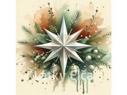 vánoční betlémská hvězda 20