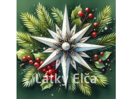 vánoční betlémská hvězda 23