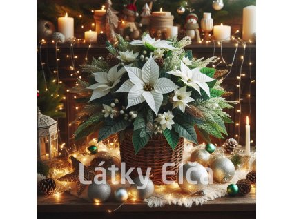 hvězda vánoční 3