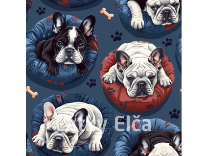 Francouzský buldoček 4