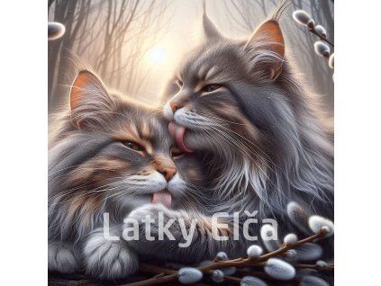 kočka a kočičky 2