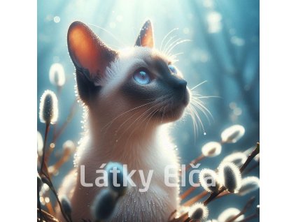 kočka a kočičky 3