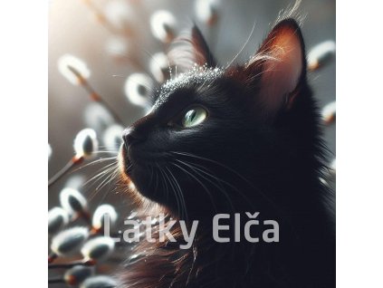 kočka a kočičky 5