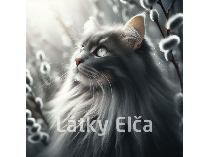 kočka a kočičky 7