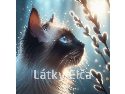 kočka a kočičky 9