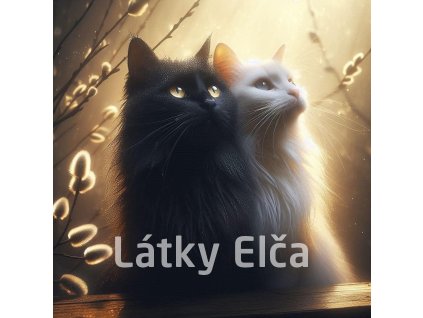 kočka a kočičky 10