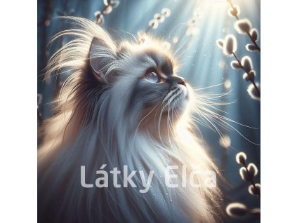 kočka a kočičky 12