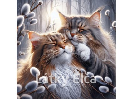 kočka a kočičky 17